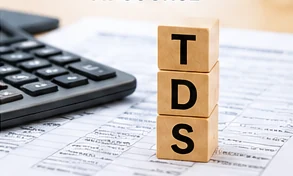 TDS Return Filing & Correction related service photograph